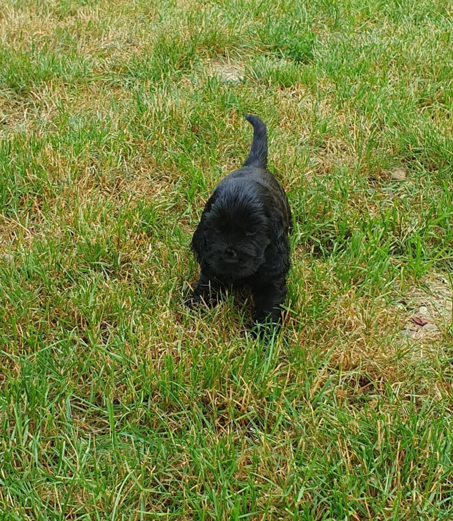 coucou c'est moi 