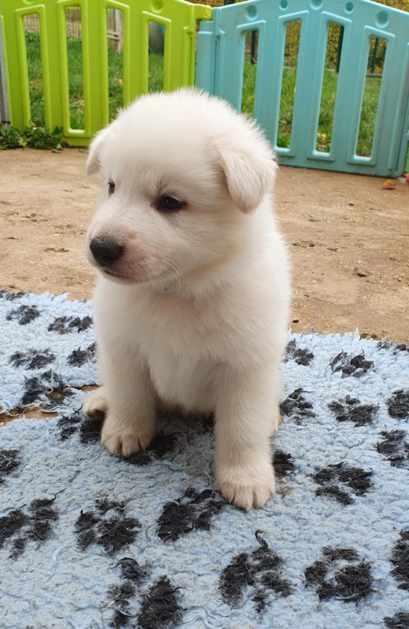 on profite d'un rayon de soleil pour des photos
