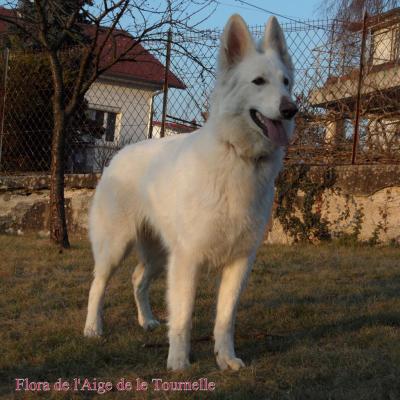 Flora , la maman