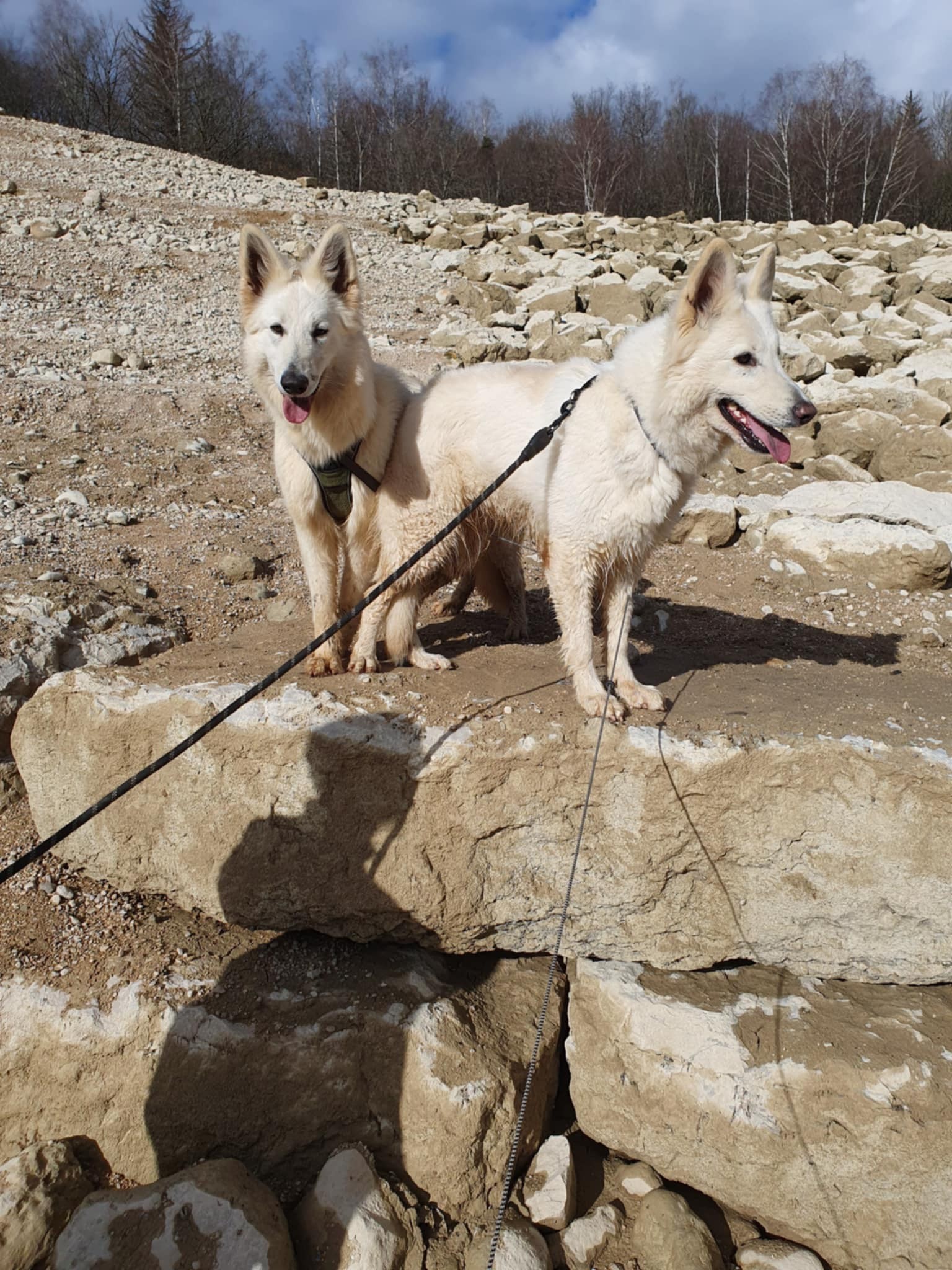 Girly et Ariel en balade