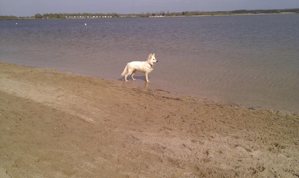 Helfy - avril 13