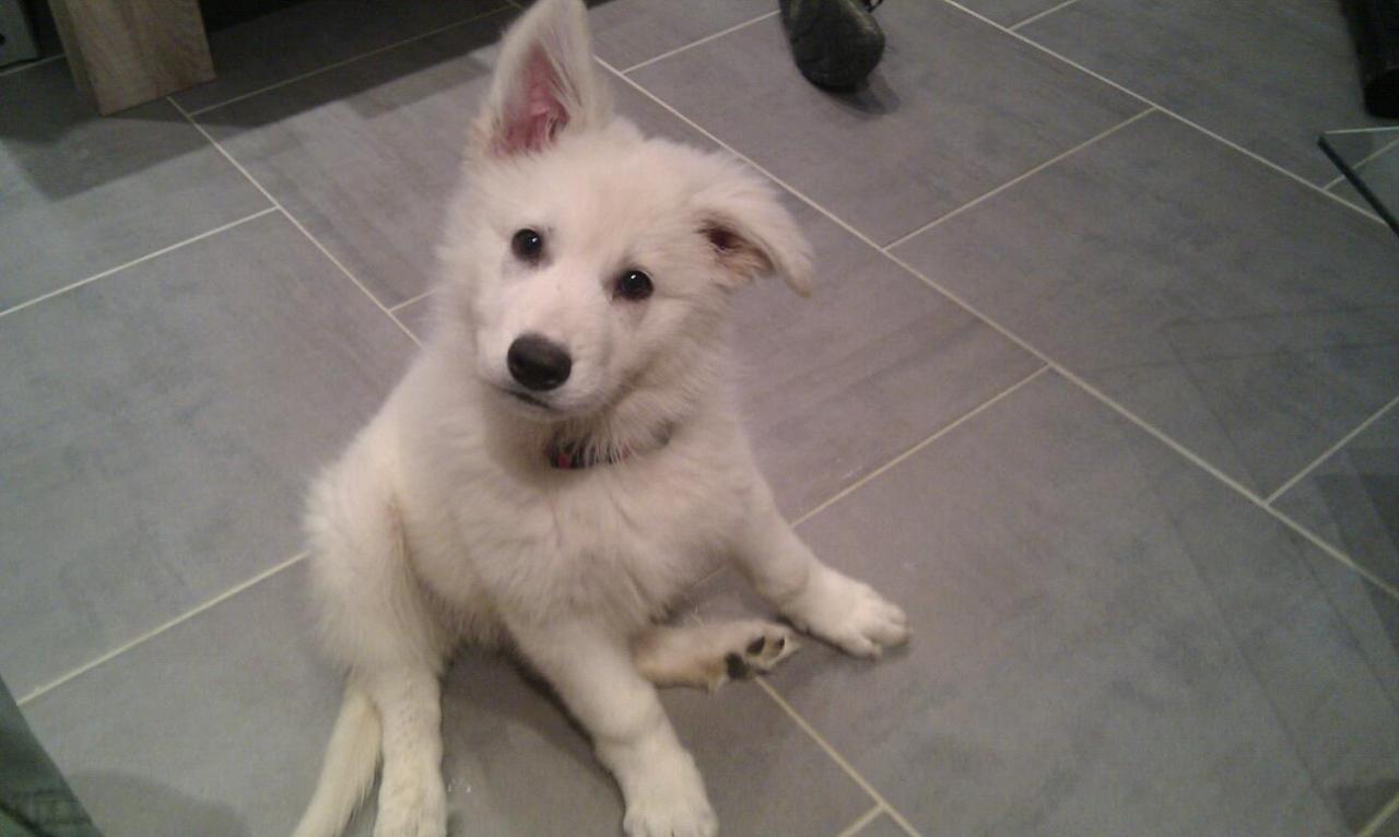 Helfy dans sa nouvelle famille 21janv13
