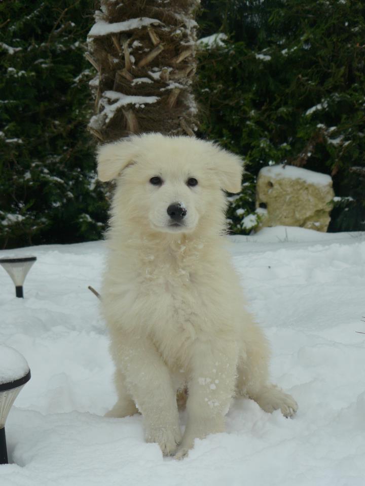 Héros dans sa nouvelle famille 22janv13