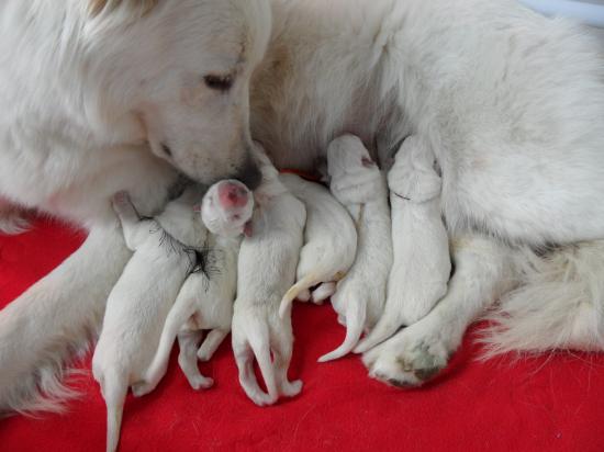 maman aime ces bébés !!
