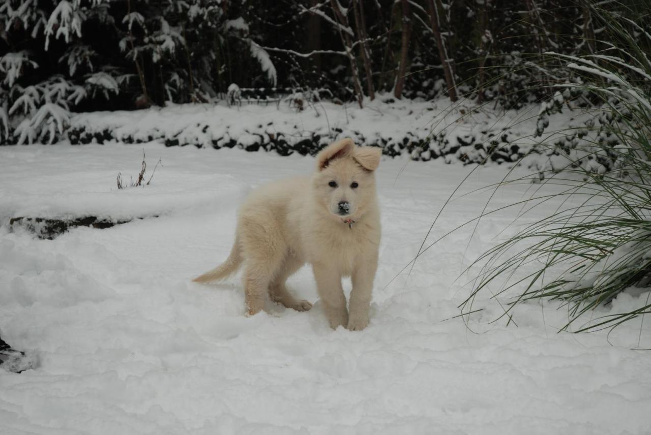 H'Inuki dans sa nouvelle famille 22janv13