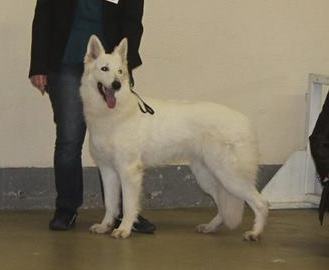 Isatis la Maman