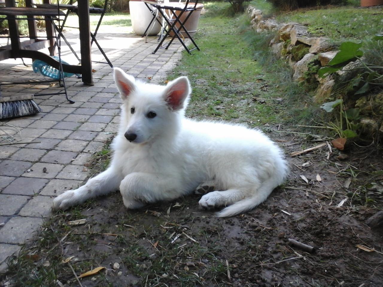 Jarvan oct 14