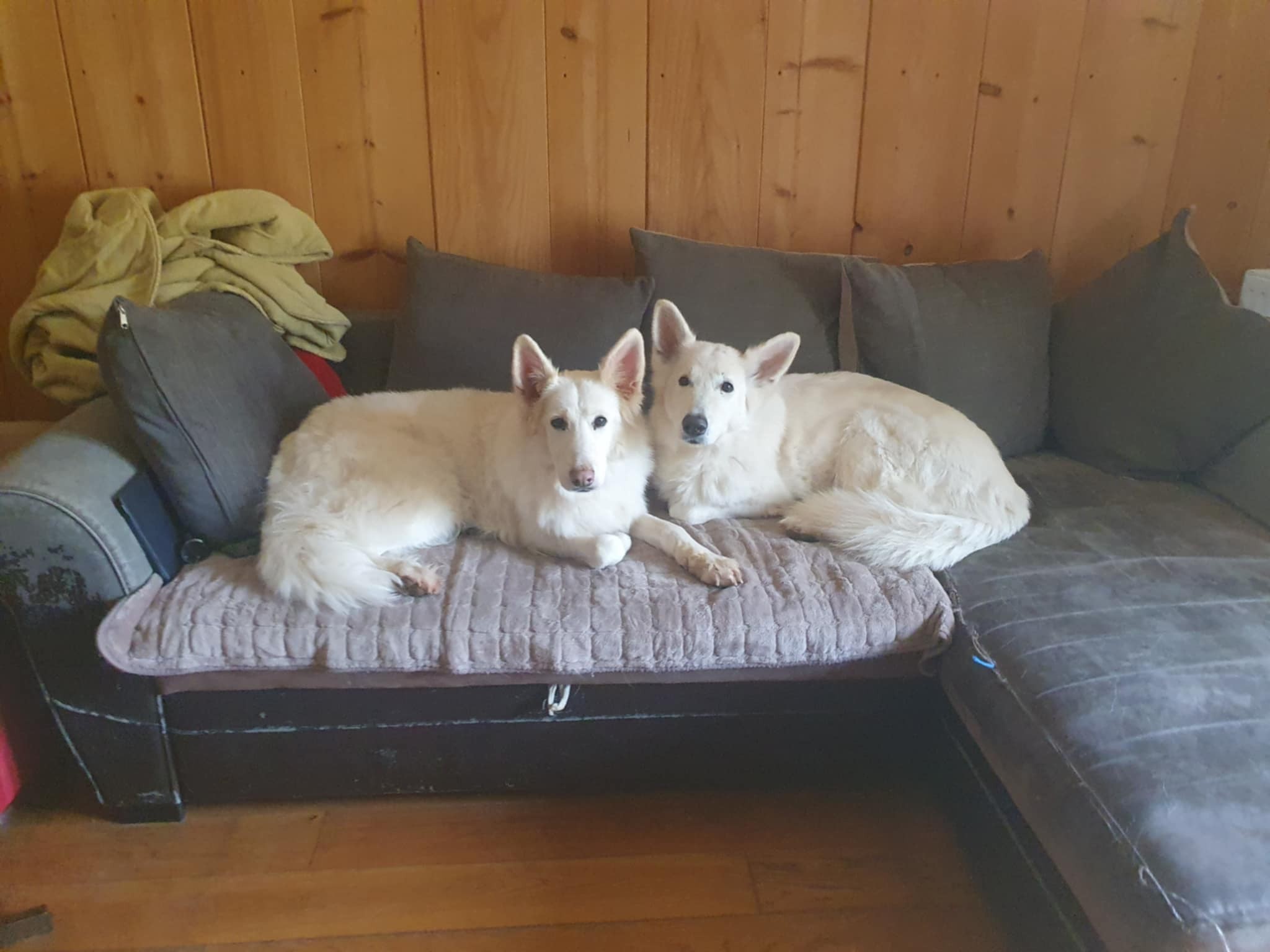 Lolita et Nina , nos 2 retraitées 