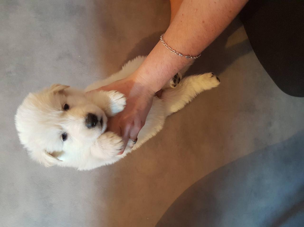 male bleu - 1 mois