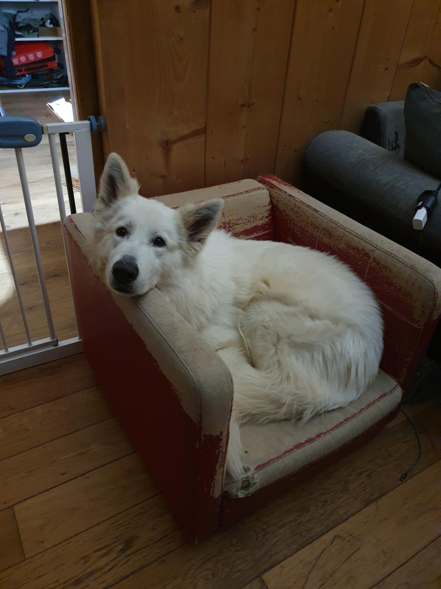 One qui persiste a rentrer dans la fauteuil