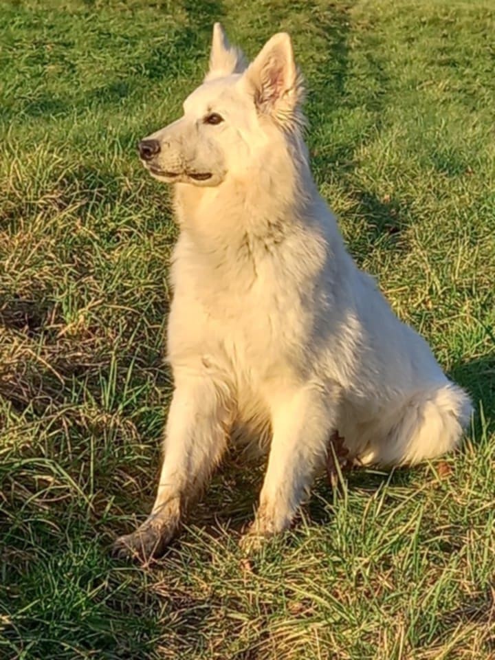 Saeco, janvier25, lady x aro