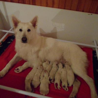 La maman et ces bébés le 9 novembre