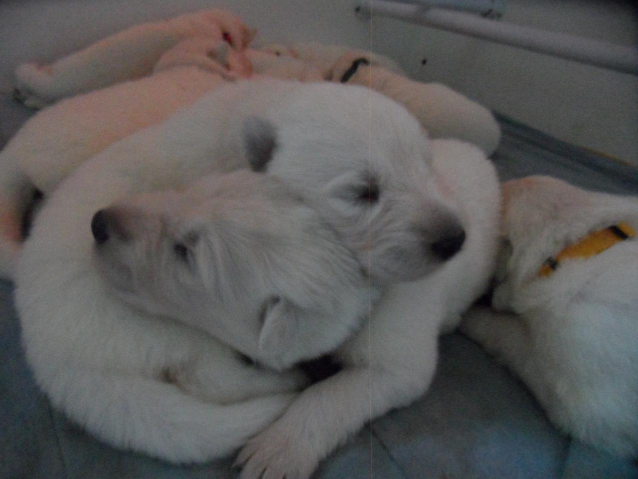 petit calin entre frere et soeur