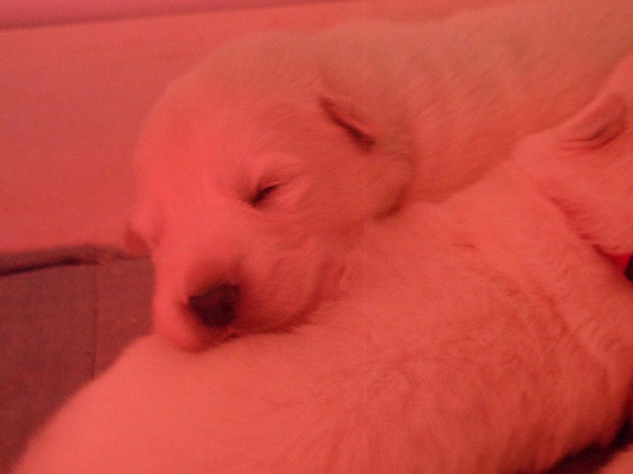petite bouille!