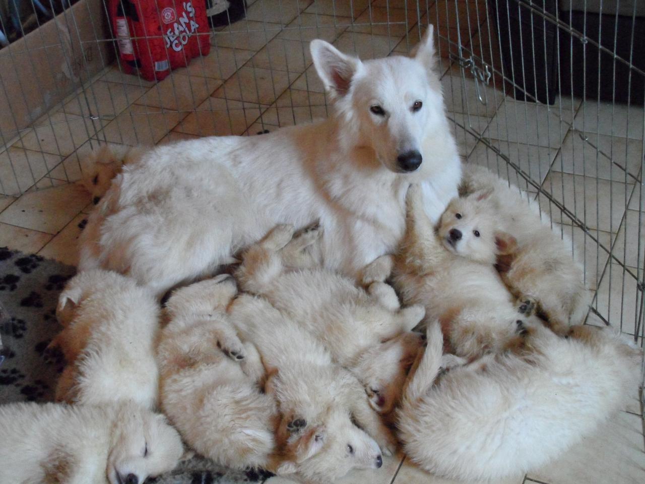 groupir autour de maman