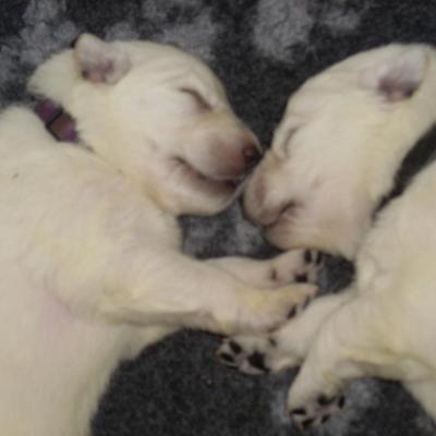 moment tendresse