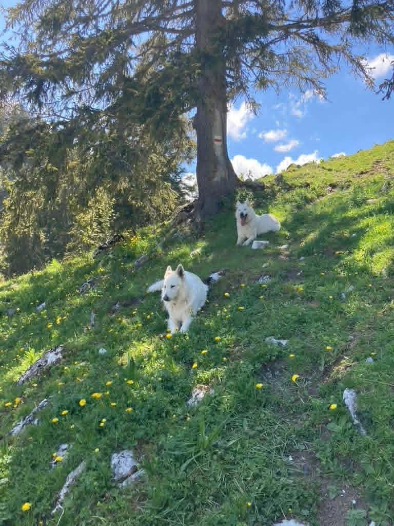 T'Phantom, cleo x aro & Shine, mai26