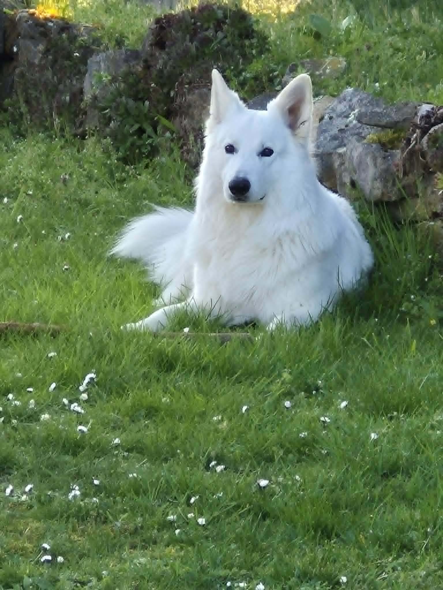 U'Loki, juin 26, twist x aro