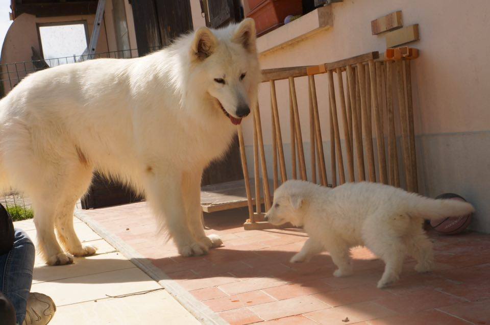 visite de papa H'Alaska ! 
