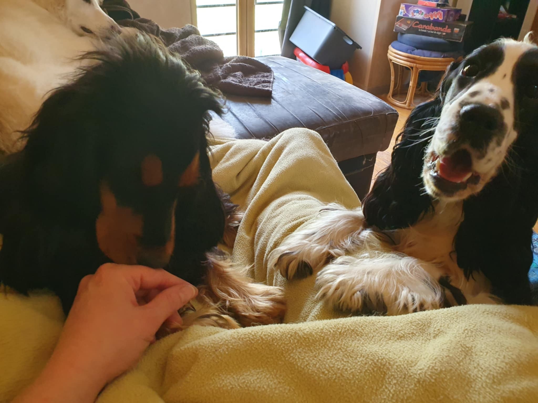 Vivi et Tali prêtent à faire la sieste 