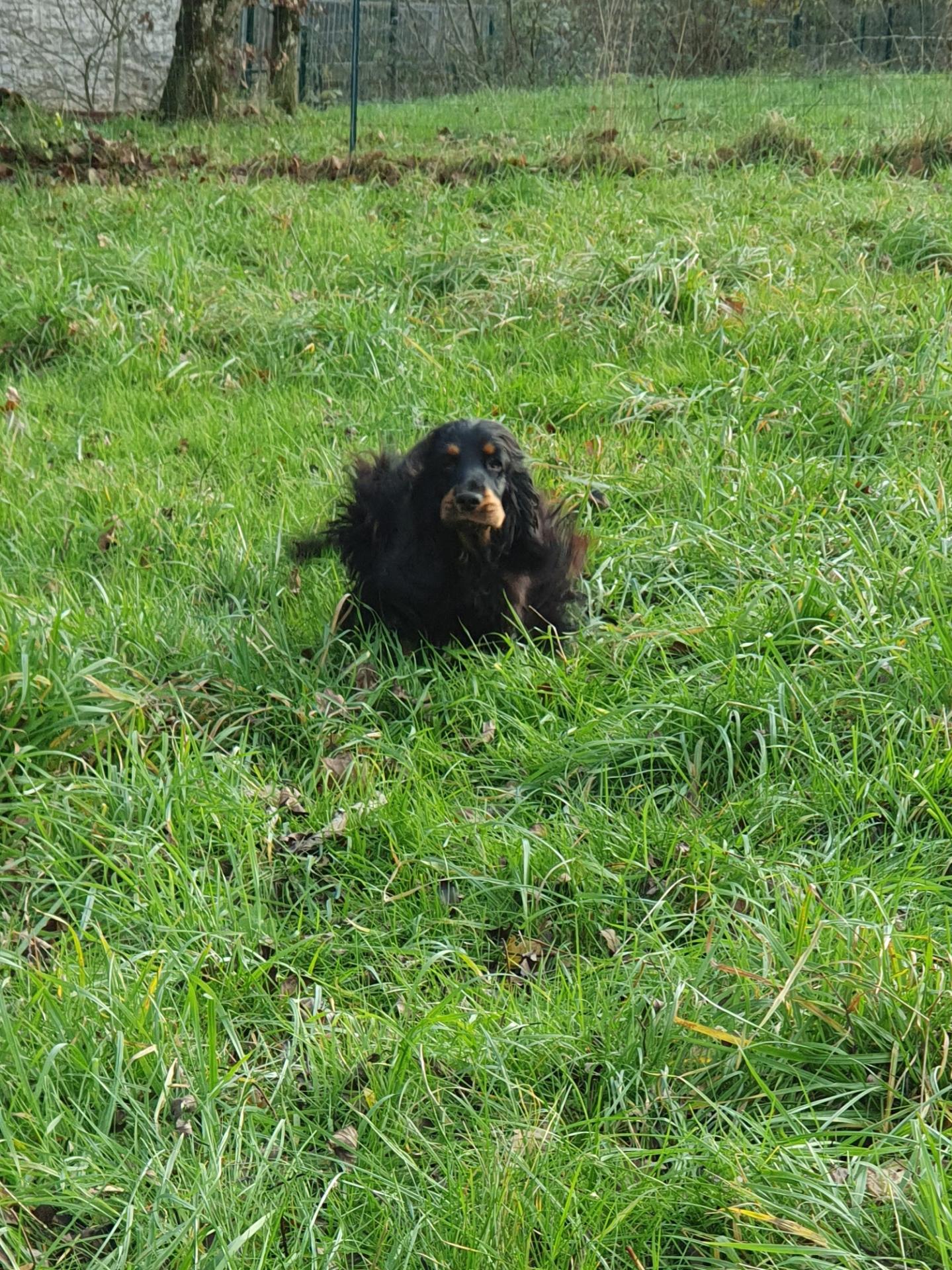 Tikki en pleine course