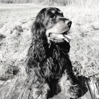Tikki à 2 ans