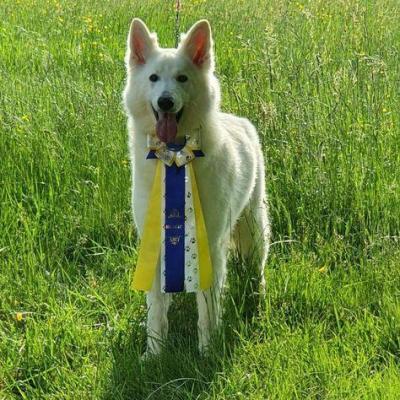 281683746 2812224362482045 8394454189682004430 n