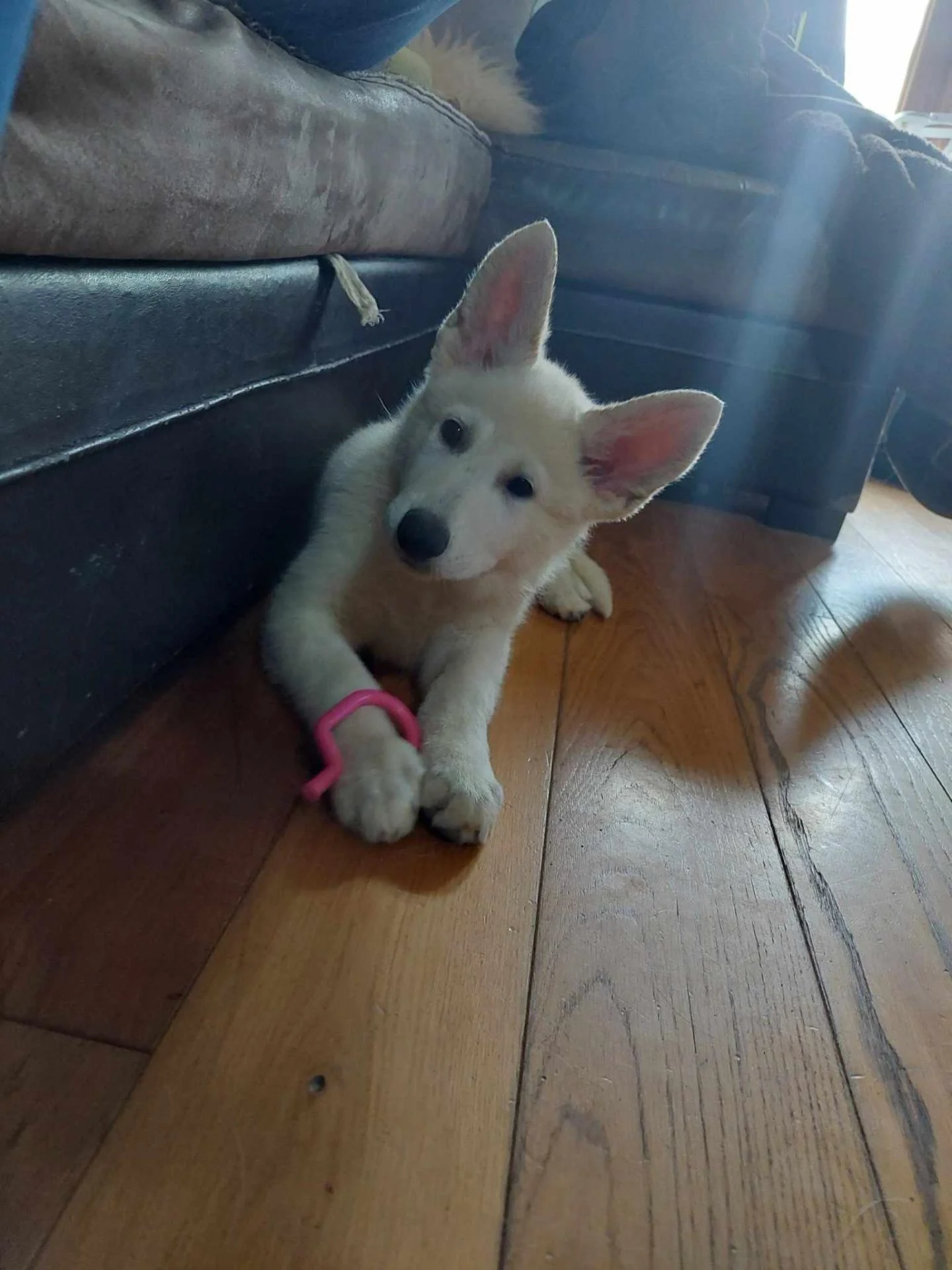 Una , 3 mois