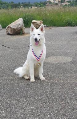 Snow medaille tan